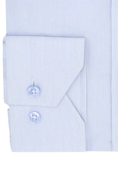 Lorenzo Uomo Trim Fit Pinstripe Dress Shirt In White/ Blue