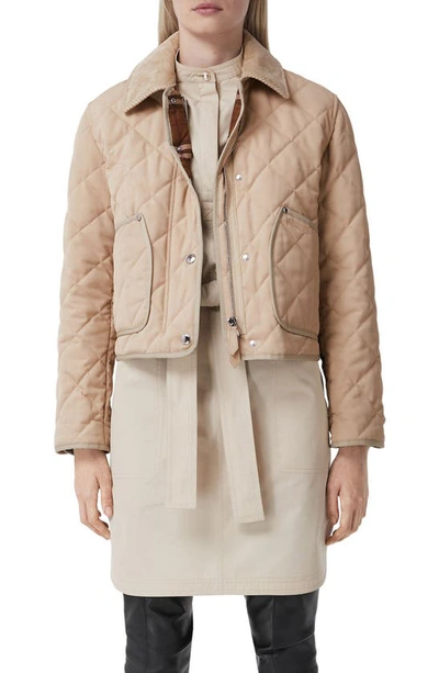 Shop Burberry Lanford Corduroy Collar Quilted Jacket In Soft Fawn