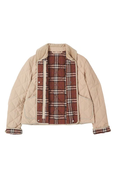 Shop Burberry Lanford Corduroy Collar Quilted Jacket In Soft Fawn