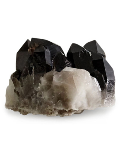 Shop Jia Jia Medium Smoky Quartz Point Crystal In Black