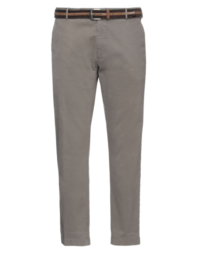 Shop Berwich Man Pants Grey Size 34 Cotton, Elastane