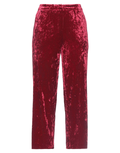 Shop Annarita N Woman Cropped Pants Burgundy Size 8 Polyester, Elastane In Red