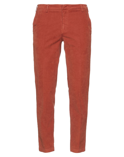 Shop Baronio Man Pants Brick Red Size 30 Cotton, Elastane