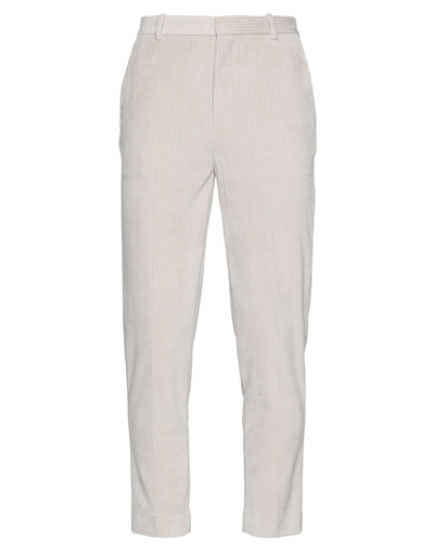 Shop Circolo 1901 Man Pants Light Grey Size 36 Cotton, Polyester