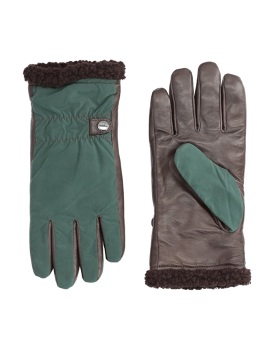 Shop Paul & Shark Man Gloves Dark Brown Size 8.5 Polyester, Nylon, Ovine Leather