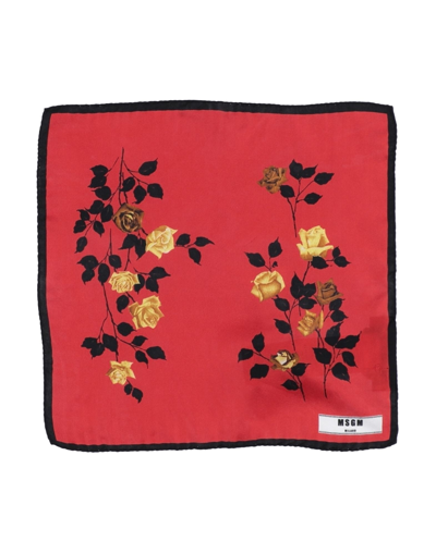 Shop Msgm Scarves In Red