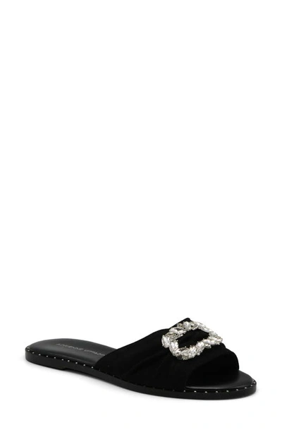 Shop Adrienne Vittadini Falace Embellished Slide Sandal In Black