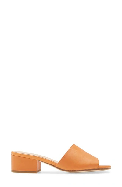 Shop Eileen Fisher Tea Sandal In Squash Leather