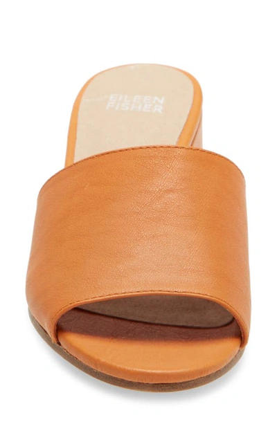 Shop Eileen Fisher Tea Sandal In Squash Leather