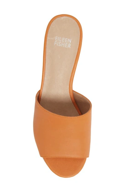 Shop Eileen Fisher Tea Sandal In Squash Leather