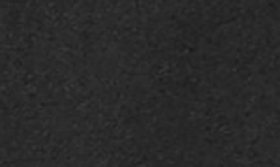 Anine Bing Charlotte Belted Blazer In Black