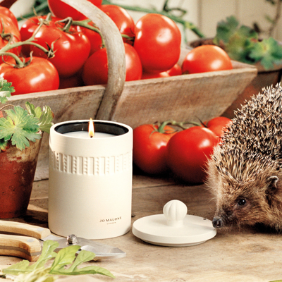 Jo Malone London Green Tomato Vine Candle In Default Title
