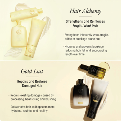 Shop Oribe Hair Alchemy Resilience Shampoo In Default Title