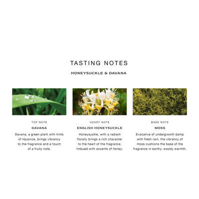 Jo Malone London Honeysuckle & Davana Cologne In 100 ml