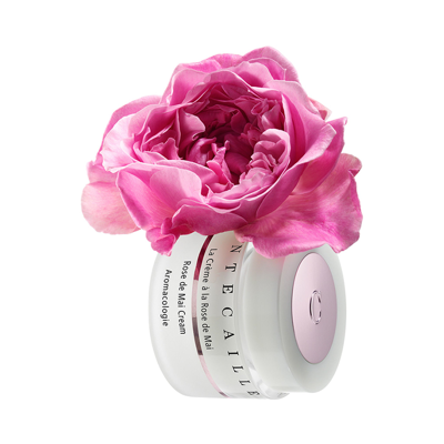 Chantecaille Rose De Mai Cream In Default Title