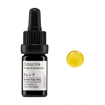 Shop Odacite Rosehip Ylang Ylang Serum Concentrate In Default Title