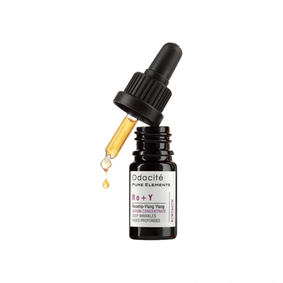 Shop Odacite Rosehip Ylang Ylang Serum Concentrate In Default Title