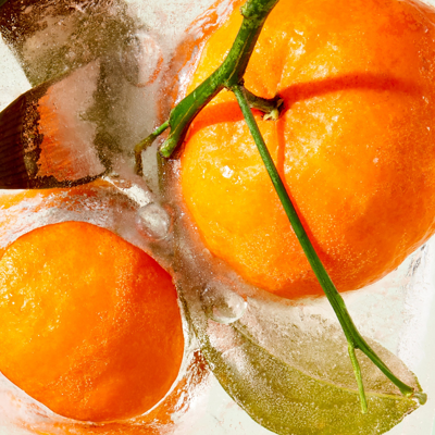 Tata Harper Water-lock Refillable Moisturizer With Skin-smoothing Peptides & Hyaluronic Acid 1.7 oz/ 50 ml Refil In Default Title