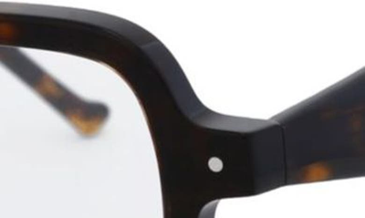 Shop Grey Ant Sext Square Reading Glasses In Tortoise/ Clear