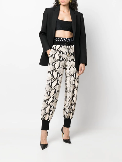 Roberto Cavalli Snakeskin-print Track Pants In Neutral