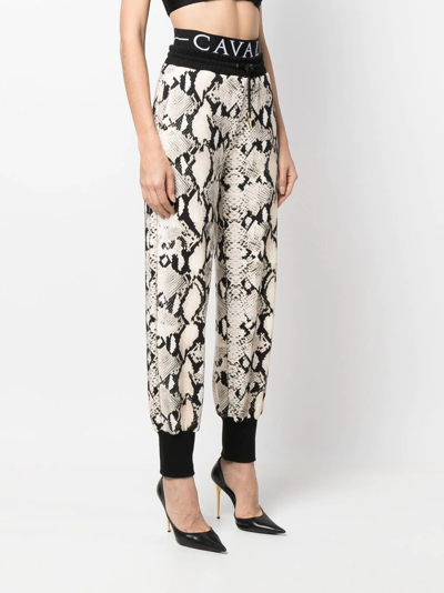 Roberto Cavalli Snakeskin-print Track Pants In Neutral