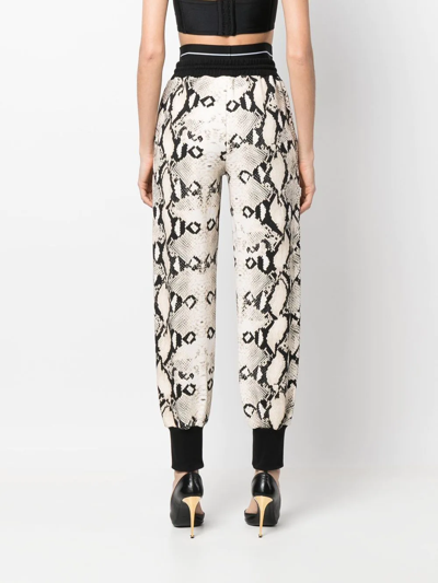 Roberto Cavalli Snakeskin-print Track Pants In Neutral