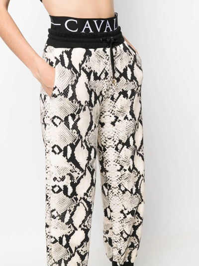 Roberto Cavalli Snakeskin-print Track Pants In Neutral