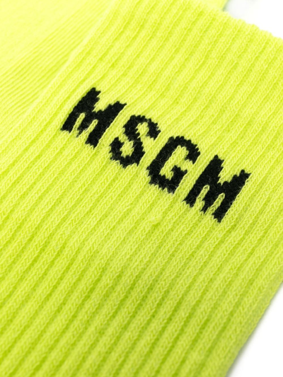 Shop Msgm Intarsia-knit Logo Socks In Green