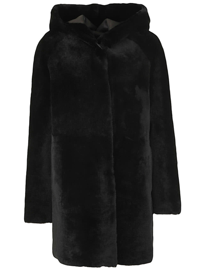 Shop Drome Hooded Shearling Coat In Black