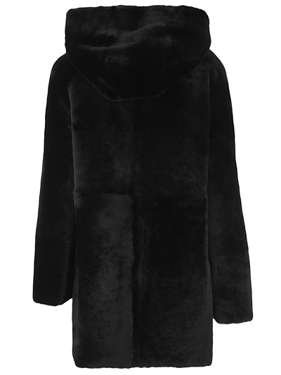 Shop Drome Hooded Shearling Coat In Black
