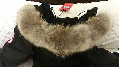 Pre-owned Label Concept Brand Red  Edition Black Canada Goose Victoria Lg Parka Jacket
