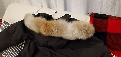 Pre-owned Canada Goose Limited "black Label" Edition Black  Chateau "xl" Parka Jacket