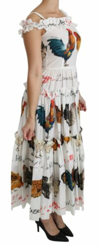 Pre-owned Dolce & Gabbana Dolce&gabbana Women White Dress 100% Cotton Rooster Print Sheath Maxi Bodycon