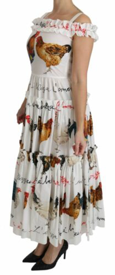 Pre-owned Dolce & Gabbana Dolce&gabbana Women White Dress 100% Cotton Rooster Print Sheath Maxi Bodycon