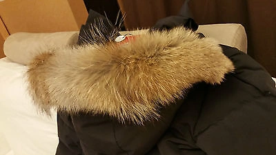 Pre-owned Canada Goose Brand Red Label Edition Lady Black  Mystique "med" Parka Jacket