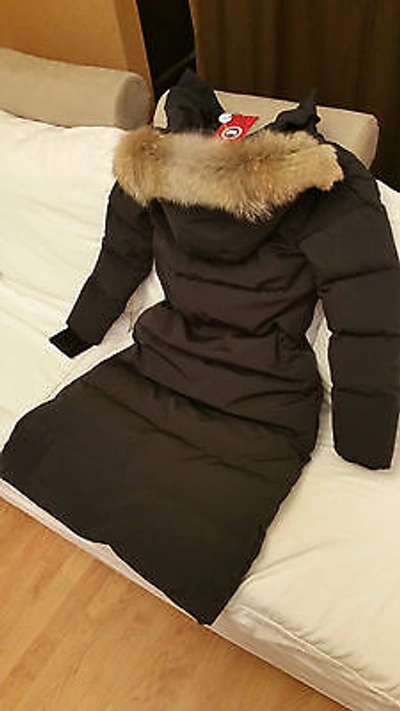 Pre-owned Canada Goose Brand Red Label Edition Lady Black  Mystique "med" Parka Jacket