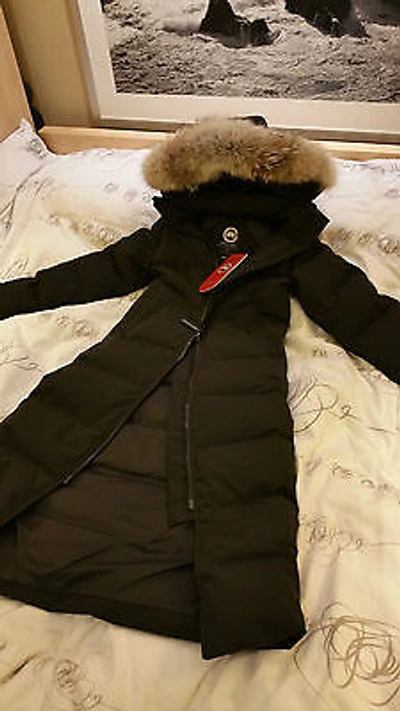 Pre-owned Canada Goose Brand Red Label Lady Black  Mystique Smallparka Jacket