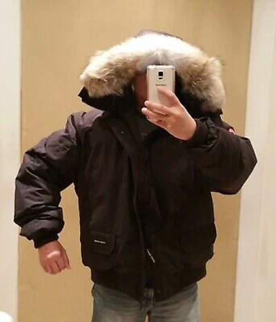 Pre-owned Pbi Custom Order Canada Goose Grey Label Black  Chilliwack Men's 3xl Parka In Polar White (polar Bear Limited Edition)
