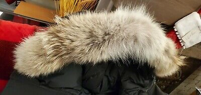 Pre-owned Pbi Custom Order Canada Goose Grey Label Black  Chilliwack Men's 3xl Parka In Polar White (polar Bear Limited Edition)