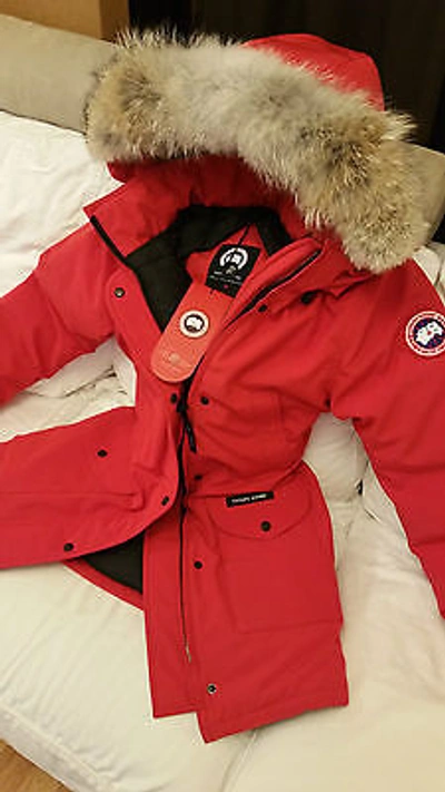 Pre-owned Label Edition Brand Red  Red Canada Goose Trillium Small Parka Jacket In Sunfire Red
