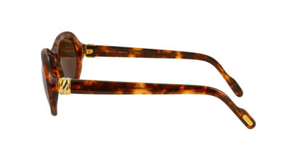Pre-owned Cartier Jaspe Sunglasses T8200238 Tortoise Brown Frame Brown Lens France