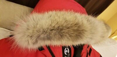 Pre-owned Canada Goose Grey Label Red  Expedition Small Fits Medium-lg Parka Jacket