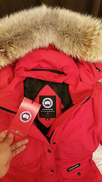 Pre-owned Label Concept Brand Red  Edition Red Canada Goose Trillium Small Parka Jacket In Sunfire Red