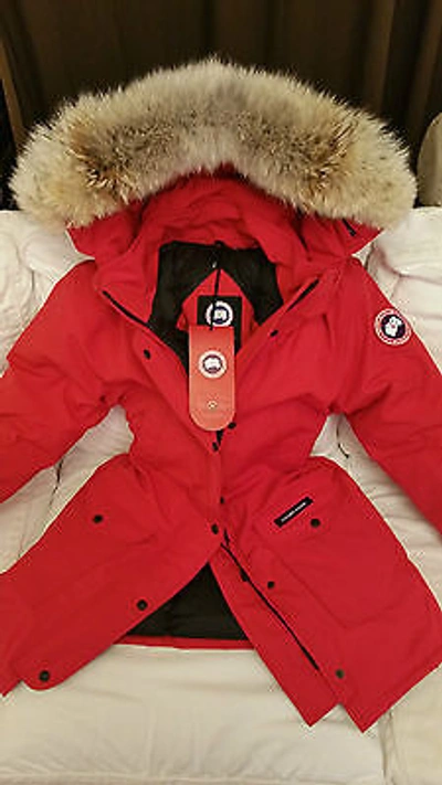 Pre-owned Label Concept Brand Red  Edition Red Canada Goose Trillium Small Parka Jacket In Sunfire Red