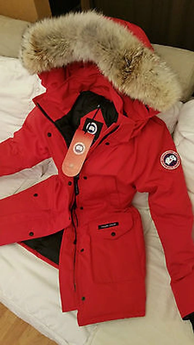 Pre-owned Label Concept Brand Red  Edition Red Canada Goose Trillium Small Parka Jacket In Sunfire Red