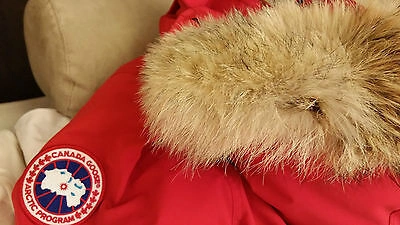 Pre-owned Label Concept Brand Red  Edition Red Canada Goose Trillium Small Parka Jacket In Sunfire Red