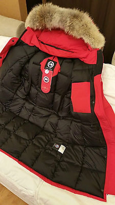 Pre-owned Label Concept Brand Red  Edition Red Canada Goose Trillium Small Parka Jacket In Sunfire Red