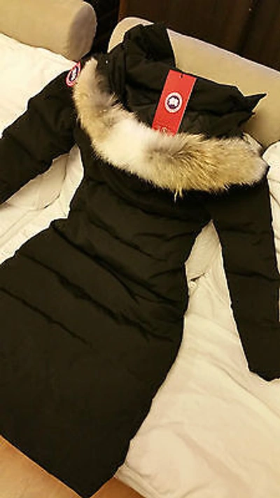 Pre-owned Label Concept Brand Red  Edition Black Canada Goose Mystique M/m Parka Jacket