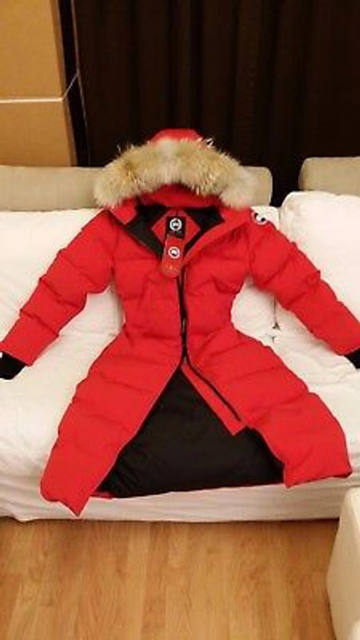 Pre-owned Label Edition Brand Red  "red" Canada Goose Mystique "medium" Parka Jacket