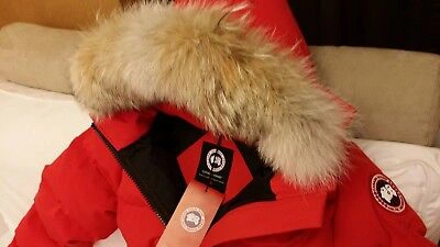 Pre-owned Label Edition Brand Red  "red" Canada Goose Mystique "medium" Parka Jacket